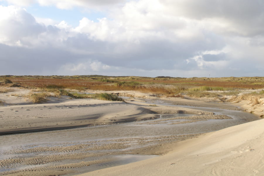 de hors, texel