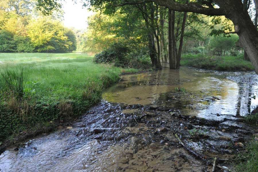 Springeldal in Twente