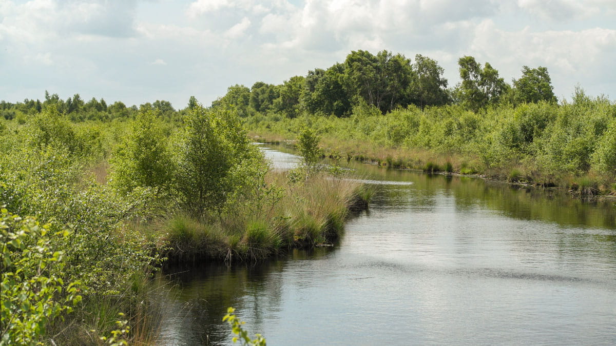 rivier in de engbertsdijkvenen