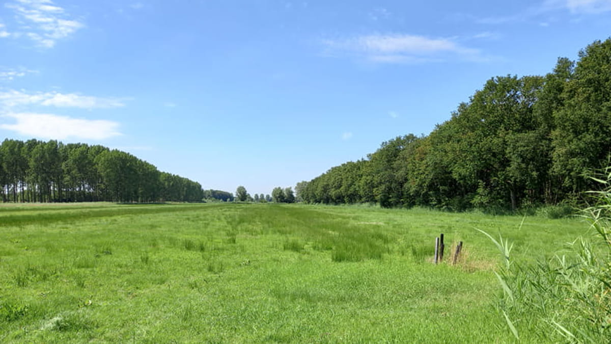 Locatie ten zuiden van de Gooyerdijk