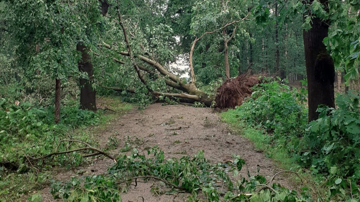 stormschade leersum