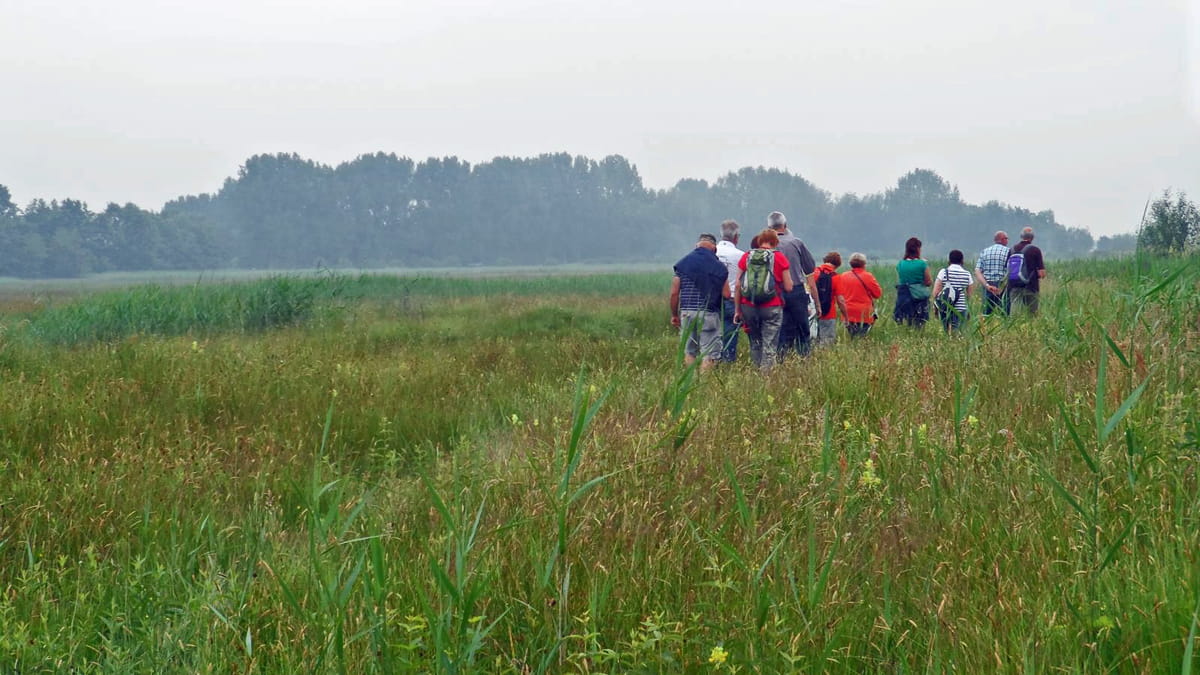 Groep wandelt in de schraallanden