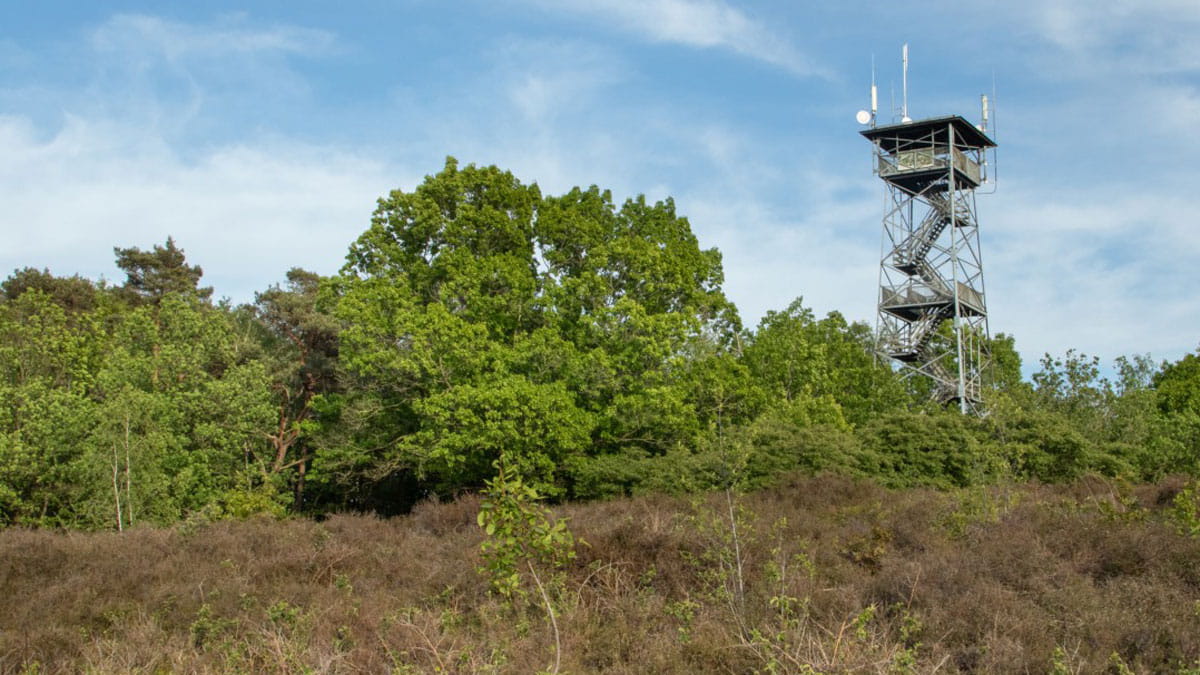ommen uitkijktoren