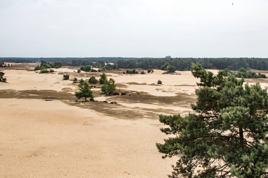 Uitzicht vanaf de uitkijktoren