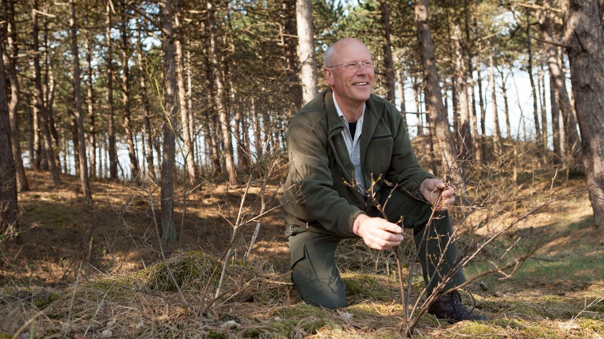 Van boom tot bosdag 't Leesten