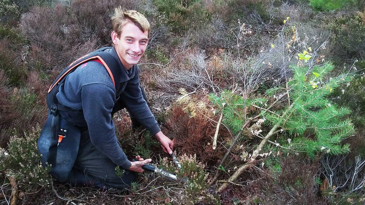 werkzaamheden op de Veluwe