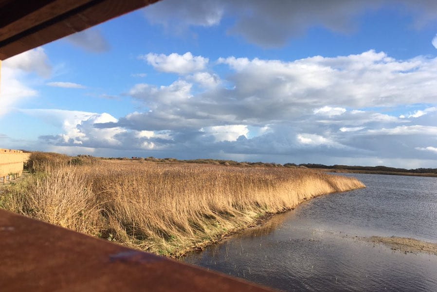 uitzicht vanuit vogelkijkhut