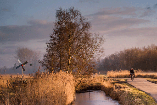 fietser langs water en winwatermolen weerribben