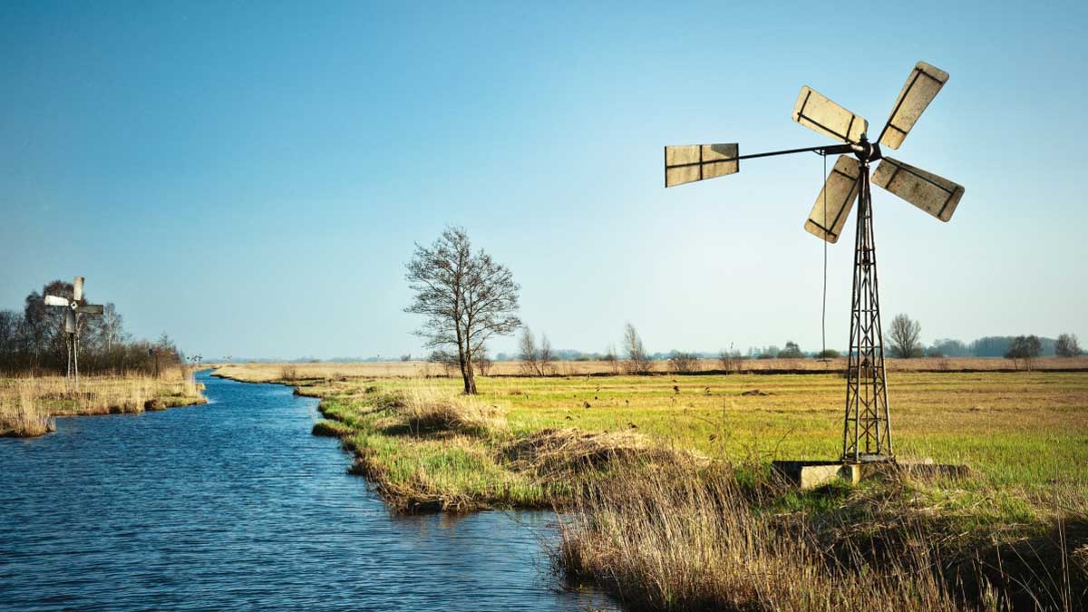 windmolen in landschap weerribben