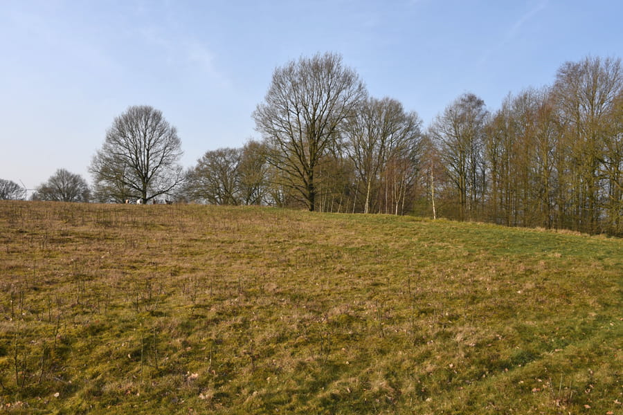Uitzicht op de Hasseberg