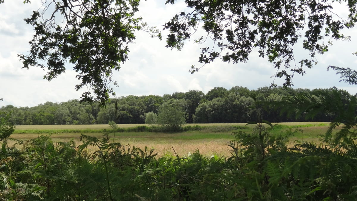 Doorkijkje Ter Wupping