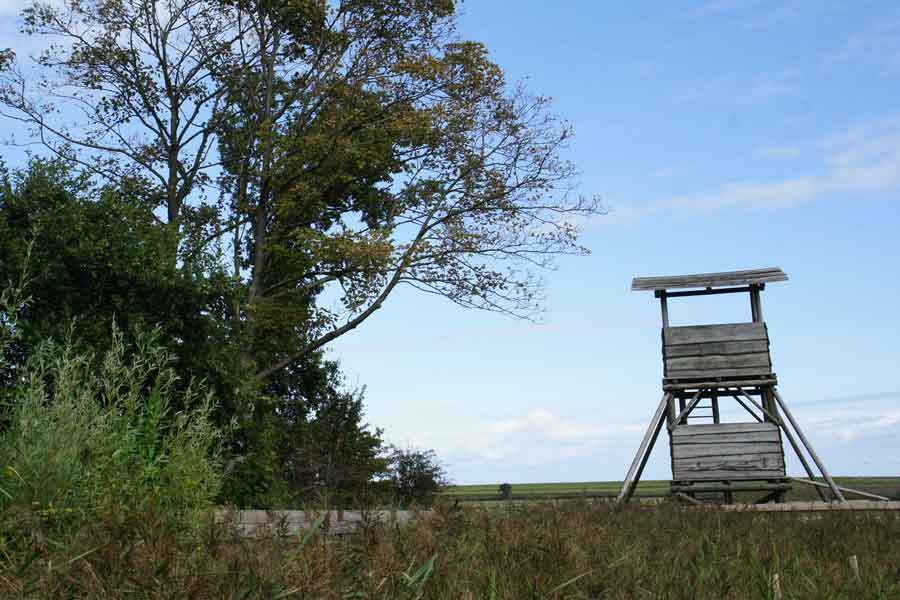 uitkijkpunt Dijkgatsweide Wieringermeer
