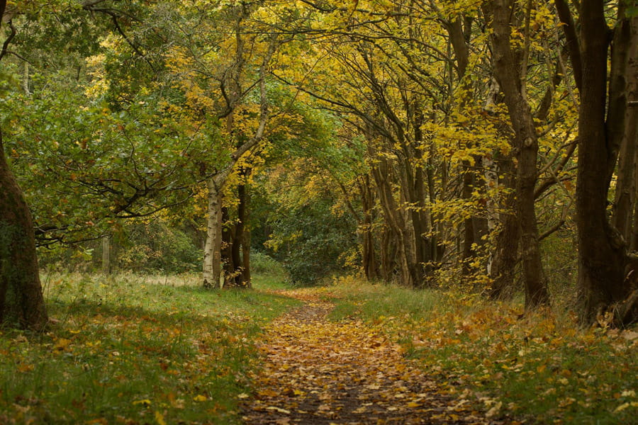 Doorkijkje Wieringerrandroute