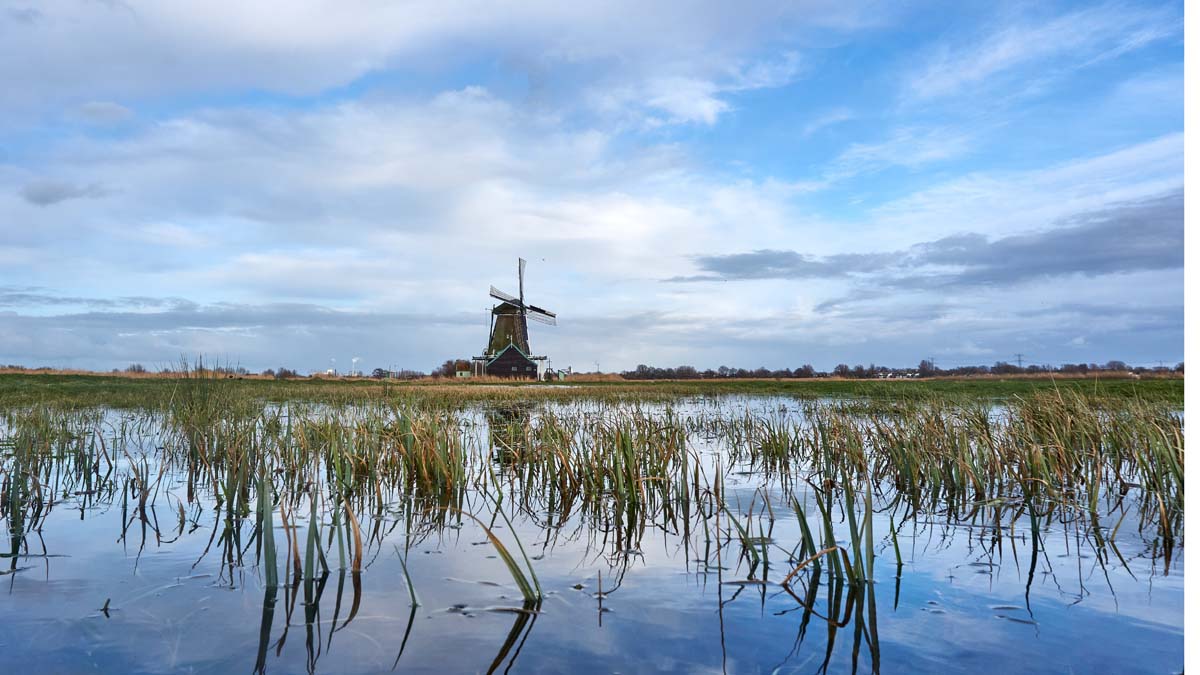 Molen Het Prinsenhof in Polder Westzaan - fotograaf Kees Jak